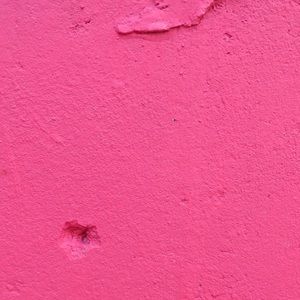 Meet your Posher, Edith